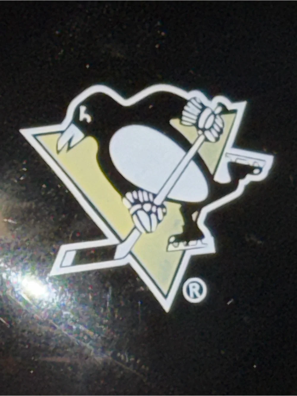 NHL hockey pittsburgh
